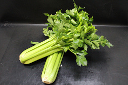 Bleekselderij lang 12 st.