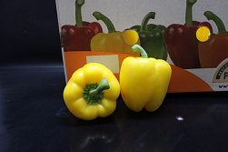 Paprika Geel 95 Supers