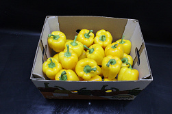 Paprika Geel 95 Supers