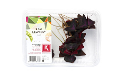 Koppert Yka Leaves