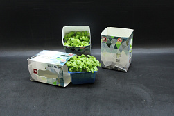 X Basil Cress Single