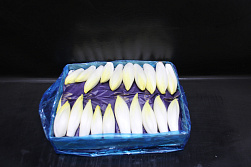 Witlof Chico's 30 gr.