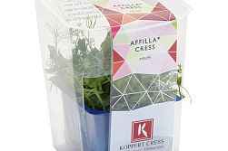 X Affila Cress Single