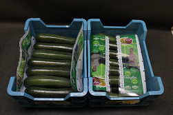 Courgettes 14 Fine Fleur