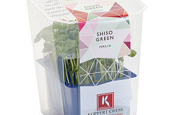 X Shiso Green Cress Single