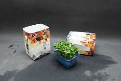 X Tahoon Cress Single