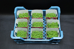 X Melissa Cress Single