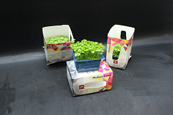 X Melissa Cress Single