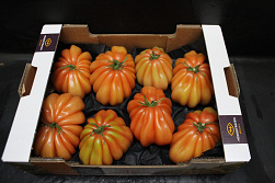 Tomaten Boeven 92+