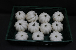 Pompoen Acorn