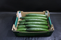 Komkommer 350 doos