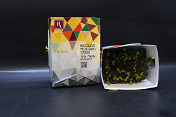 X Bicolor Mustard Single