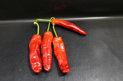 Paprika Punt Rood
