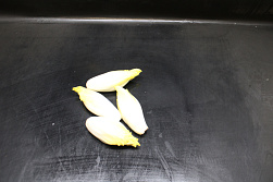 Witlof extra fijn 9-12