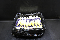 Witlof extra fijn 9-12