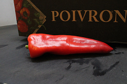 Paprika Punt Rood