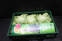 Sla 6 st. Fine Fleur