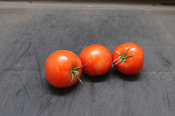 Tomaten B