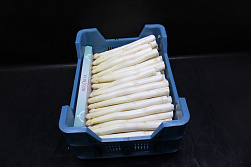 Asperge AA / Exclusief / Super