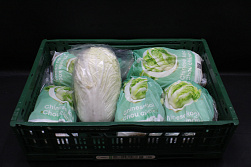 Chinese Kool 6 st. verpakt