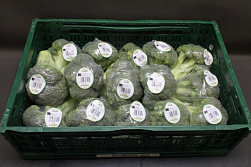 Broccoli 15 x 400 gr.