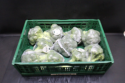 Broccoli 10 x 500 gr.