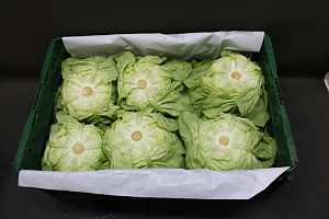 Sla Jumbo 12st 27 kilo