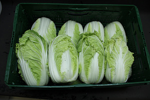 Chinese Kool 10 kg. LOS