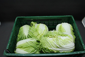 Chinese Kool 10 kg. LOS