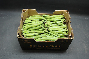 Tuinbonen