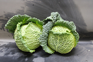 Groene Kool 6st. Holland