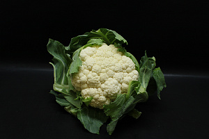 Bloemkool 8 st.