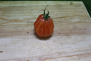 Tomaten Boeven