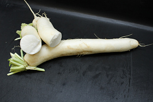 Rettich / Daikon 15 st.