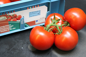 Tomaten Tros