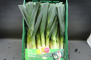 Prei Jong Fine Fleur