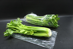 Bleekselderij