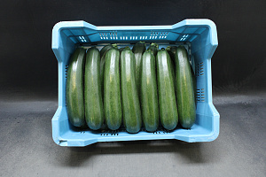 Courgettes Supers