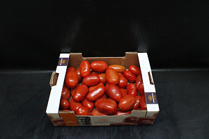 Tomaten San Marzano