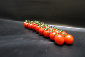 Tomaten Cherry aan de tak