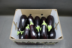 Aubergines 225 Supers