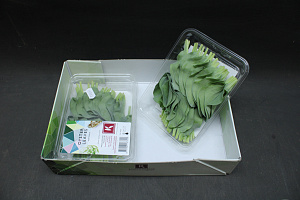 X Oyster Leaves®