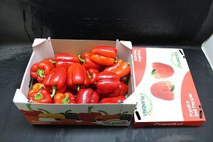 Paprika Rood 85