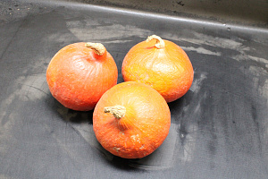 Pompoen Hokkaido 12 st.