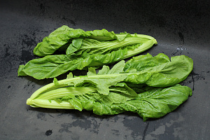 Amsoi