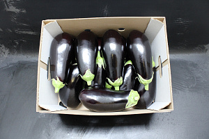 Aubergines 300 Supers