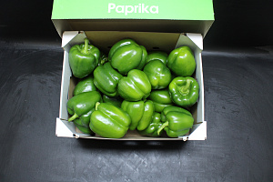 Paprika Groen Supers 95