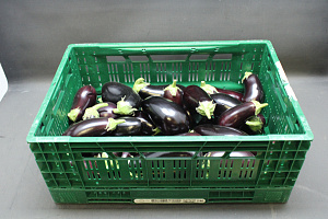 Aubergines 225 Klasse II
