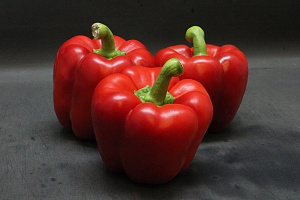 Paprika Rood 95er 10 kg