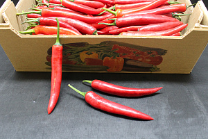 Peper Rood Doos